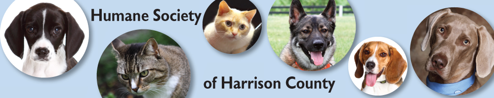 harrison animal shelter